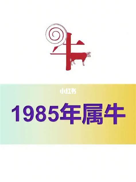 1985是什么年